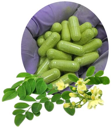 Moringa Kruiden Capsules 