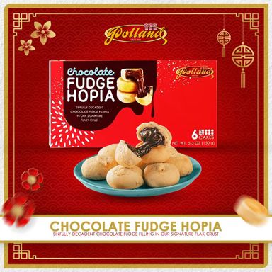 Polland Hopia Chocolate Fudge 150grams