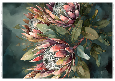 PROTEA ELEGANCE (VERTICAL) SML 400x300mm