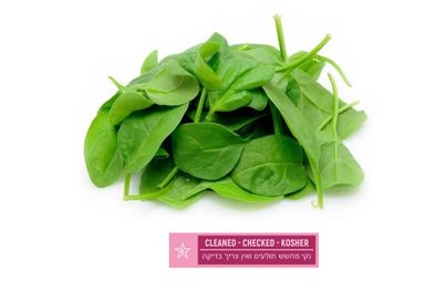 Baby Spinach (1lb/16oz)