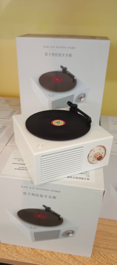 Vinyl Speaker