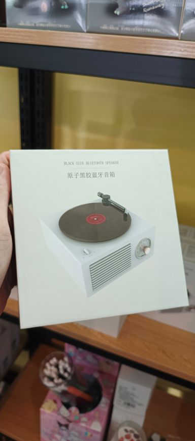 Vinyl Speaker