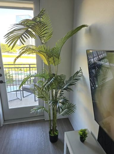 Artificial palm plant for home. Offices, living room and modern spaces.