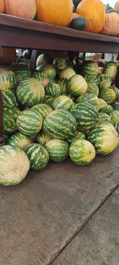 Organic watermelon (2-3kg)