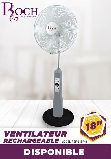 Ventilateur Rechargeable Roch 18"