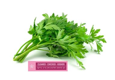 Flat Italian Parsley (1oz)