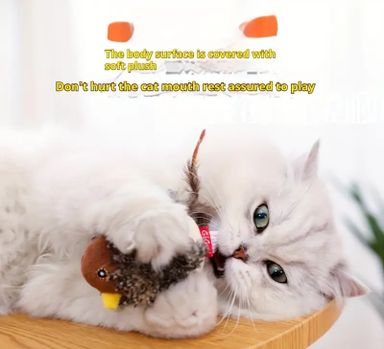 Interactive Cat Toy,