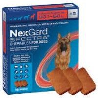 NexGard Spectra XL (30,1-60kg) 3 Pack (Red)