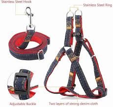 Body Harness & Leash Combo