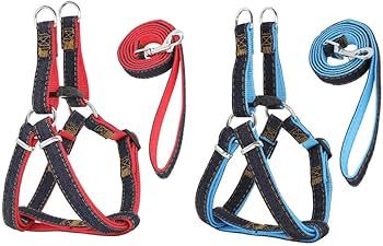 Body Harness & Leash Combo