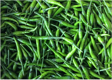 Green Chilli Padi青小辣椒(100g)Fresh & Budget