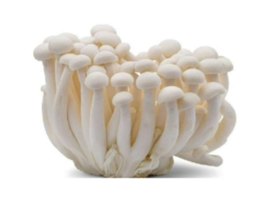 White Shimeji Mushroom白玉菇(150g)Fresh & Budget