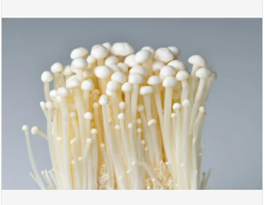 Enoki Mushroom金针菇(100G )Fresh & Budget