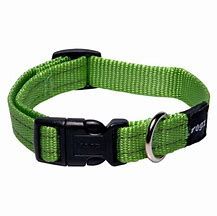 M CLASSIC DOG COLLAR