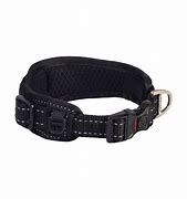  PADDED DOG COLLAR XXL