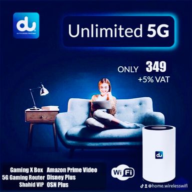 Home Wireless Gaming 