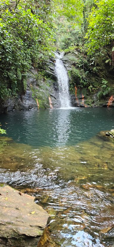 Waterfalls