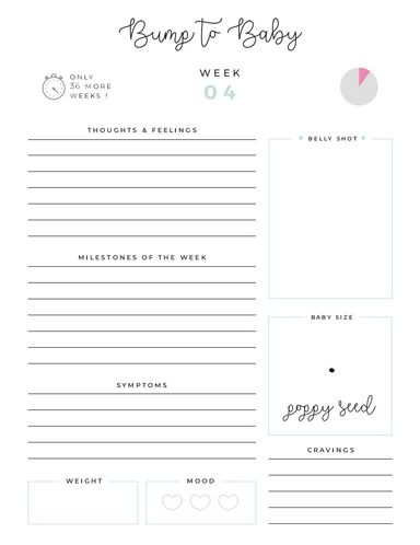 Pregnancy Journal - Green