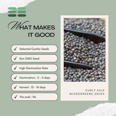 Curly Kale Microgreens Seeds
