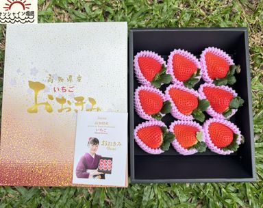 JAPAN KOCHI OKIMI STRAWBERRY日本高知大妃草莓🍓