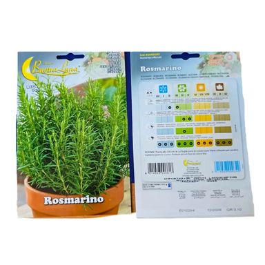 Rosemary Seed