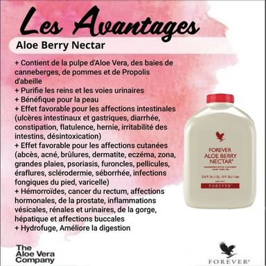 Aloe Berry Nectar