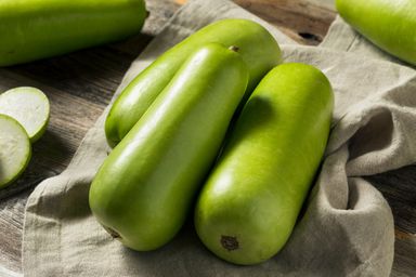 Bottle Gourd (Malaysia)