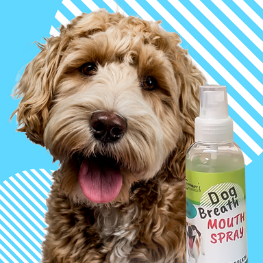 Mouth Spray (Dog Breath) - Groomers Choice