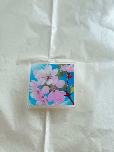 Cherry blossom phone grip 