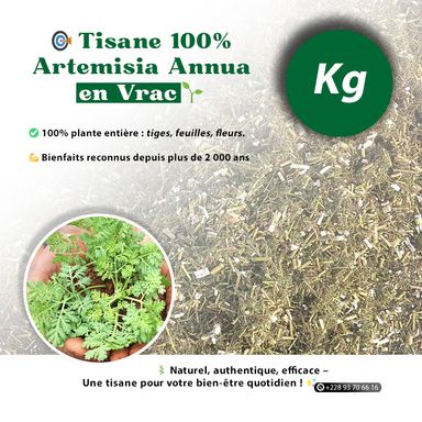 🎯 Tisane 100% Artemisia Annua en Vrac 