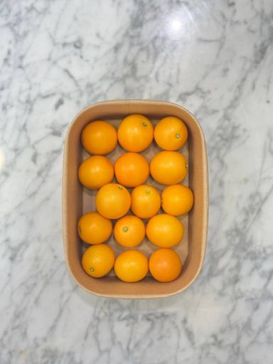 金柑 Kinkan (Kumquat)