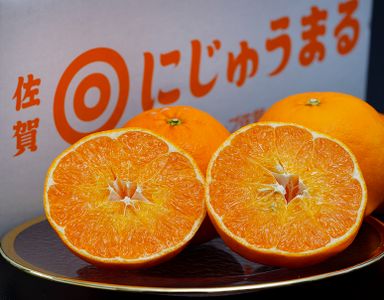 Nijyumaru Orange (Saga Prefecture) | にじゅうまる (per pcs)