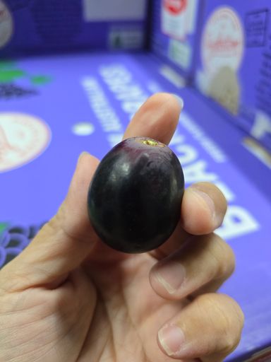 Aust Adora Grapes (1kg)