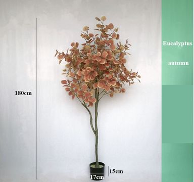PREMIUM TREE EUCALYPTUS PINK