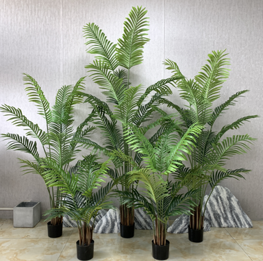 PREMIUM TREE PALM