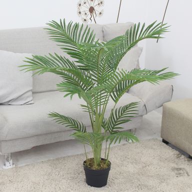 PREMIUM TREE PALM