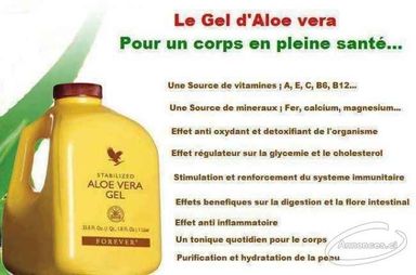  PULPE D'ALOES ,LE GEL Qu'il vous faut