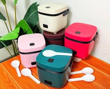 SMART MINI RICE COOKER