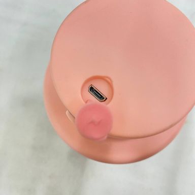 MINI ELECTRIC CHOPPER 250ML