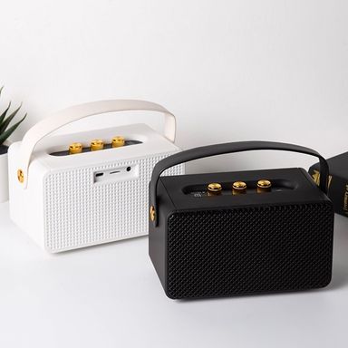 MARSHALL SPEAKER M10