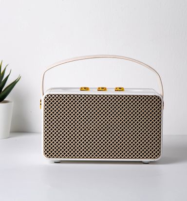 MARSHALL SPEAKER M10