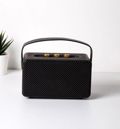 MARSHALL SPEAKER M10