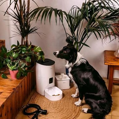 PET FEEDER - MELLER - PETTO EAT SMA