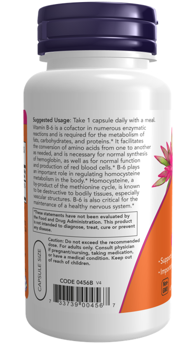 Vitamin B-6 100 mg