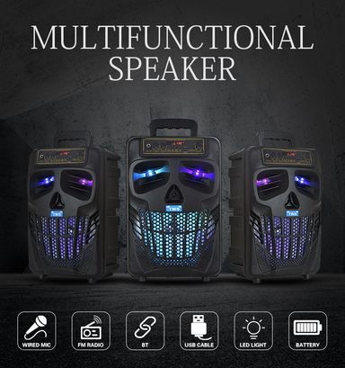 QS-7801 8" KARAOKE BLUETOOTH SPEAKER