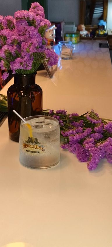 Gin Tonic
