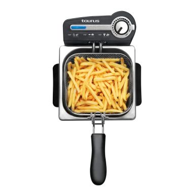 FRYER- TAURUS- PROFESSIONAL 2 PLUS (VER V) 