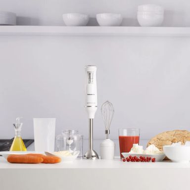 HAND BLENDER -TAURUS- BAPI 750 PURE PLUS INOX(VerII)