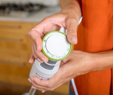 HAND BLENDER -TAURUS- BAPI 850 PLUS INOX (VE