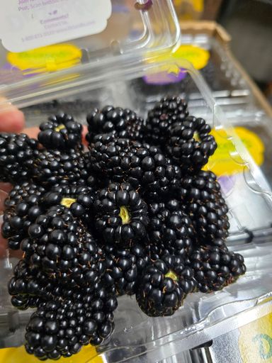 Driscoll's Blackberry 125g 